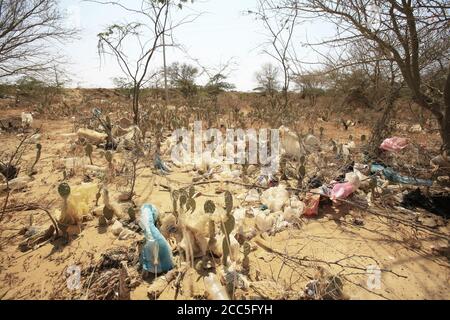 Déchets et sacs en plastique piégés dans des buissons épineux à la périphérie d'Uribia, la capitale indigène du pays, département de la Guajira, Colombie. Banque D'Images