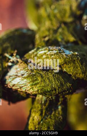 Photo macro d'un nœud de corde en mousse abîmé Banque D'Images