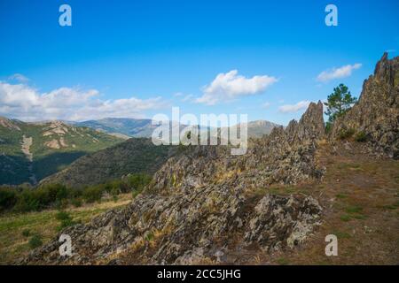 Paysage. La réserve naturelle de la Sierra Norte, province de Guadalajara, Castille La Manche, Espagne. Banque D'Images