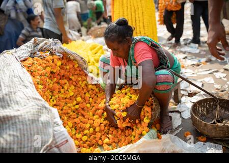 Les vendeurs vendent au Mullick Ghat Flower Market à Kolkata (Calcutta), en Inde, fournissent de nombreuses fleurs qui décorent les temples de la région. Banque D'Images