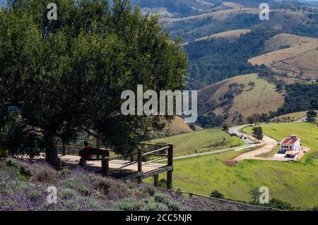 Belle vue sur le paysage vue de la plantation de champs de lavande de 'O Lavandario' ferme avec la route Salvador Pacetti en cours d'exécution montagnes à l'arrière Banque D'Images
