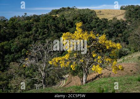 Le paysage montagneux magnifique comme vu de la porte d'entrée de la ferme O Contemplario située à proximité sous le ciel bleu de la fin de l'après-midi. Banque D'Images