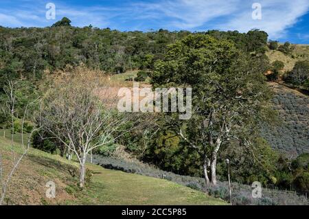 Le chemin de descente qui s'étend à proximité des champs de plantation de fleurs de lavande et entre les paysages vallonnés à l'intérieur de O Contemplario sous ciel bleu nuageux. Banque D'Images