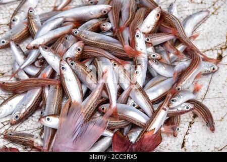 Une collection de poissons dans le marché de poissons du matin Asie Banque D'Images