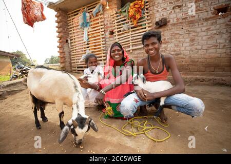 Une famille dirigée par une mère célibataire s'assoit à l'extérieur de leur maison à Bihar, en Inde, avec trois de leurs chèvres. Banque D'Images