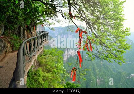 Zhangjiajie, Chine - 10 mai 2017 : détail des rubans rouges dans le parc national de la forêt de Wish Zhangjiajie, Chine. Banque D'Images