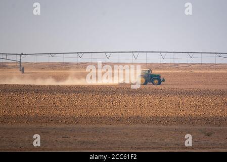 Tracteur labourant un champ dans le désert de Negev, Israël photographié à Kibbutz Magen Banque D'Images
