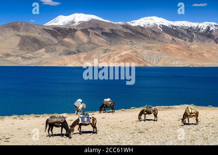 Tso Moriri Lake dans le Karakorum Montagnes près de Leh, Inde. Cette région est un but d'expéditions organisées par les Indiens moto Banque D'Images