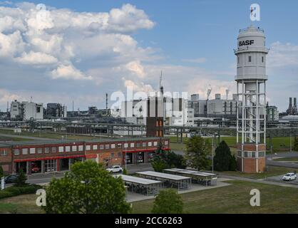 19 août 2020, Brandebourg, Schwarzheide: Vue sur les locaux de BASF Schwarzheide GmbH. BASF reçoit environ 175 millions d'euros des gouvernements fédéral et des États allemands pour promouvoir la recherche et le pilotage industriel dans le domaine des matériaux de batterie hautement innovants. Une usine de production de matériaux de batterie est actuellement en construction sur le site de BASF, dans le sud du Brandebourg. Photo: Patrick Pleul/dpa-Zentralbild/dpa Banque D'Images