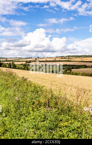 Un paysage ouvert et vallonné de Cotswold de champs récoltés en août près du hameau de Hampen, Gloucestershire Royaume-Uni Banque D'Images