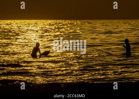 Silhouette de surfeurs dans la mer Méditerranée au coucher du soleil . Photographié sur la plage de Beit Yanai, Israël Banque D'Images