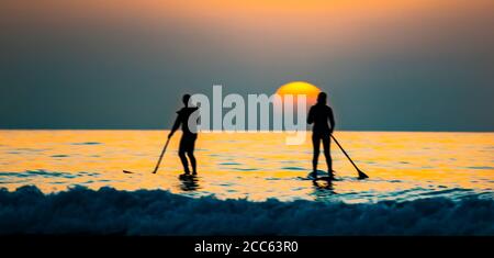 Silhouette de surfeurs dans la mer Méditerranée au coucher du soleil . Photographié sur la plage de Beit Yanai, Israël Banque D'Images