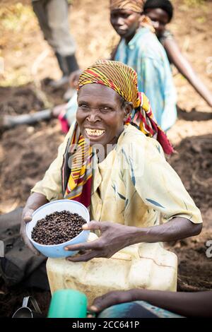 Les agricultrices détiennent des semences d'okra et les plantent dans leurs champs du nord de l'Ouganda, en Afrique de l'est. Banque D'Images