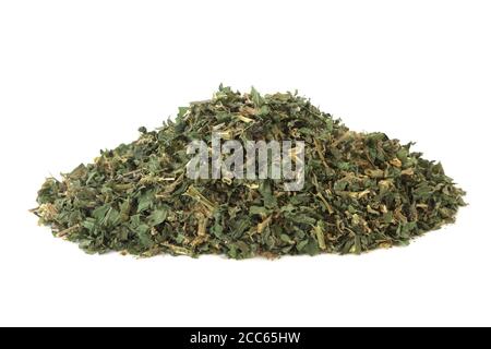 Granulation de l'herbe de mur utilisée en médecine de fines herbes pour traiter les infections des voies urinaires, les douleurs et les pierres de rein, la rétention de liquide, la constipation et la toux Banque D'Images