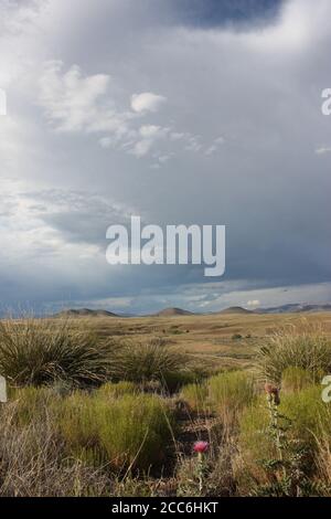 Paysage désertique et spectaculaire avec des prairies arides, des montagnes lointaines et des nuages de pluie sombres et orageux Banque D'Images