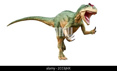 Allosaurus fragilis avec attaque ou posture agressive isolé sur fond blanc. Reconstitution réaliste et scientifique des dinosaures. Rendu 3D illust Banque D'Images