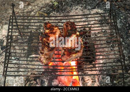 Les steaks de porc grillés sur une côte sont cuits sur des coals sur une grille métallique lors d'un pique-nique. Arrière-plan. Banque D'Images