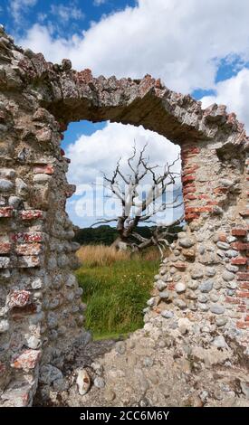 Un trou dans un mur avec un arbre mort au-delà du château de Baconsthorpe, Norfolk, Angleterre. Banque D'Images