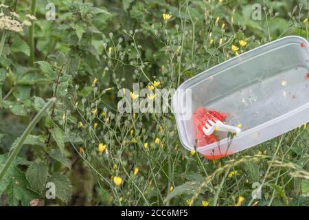 Récipient à emporter en plastique sur la route de campagne. Perchée en hauteur dans les mauvaises herbes du bord de la route comme si elle était déversée de la fenêtre de la voiture. Pour une interdiction en plastique à usage unique. Banque D'Images