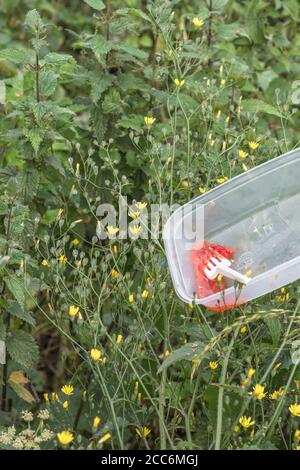 Récipient à emporter en plastique sur la route de campagne. Perchée en hauteur dans les mauvaises herbes du bord de la route comme si elle était déversée de la fenêtre de la voiture. Pour une interdiction en plastique à usage unique. Banque D'Images