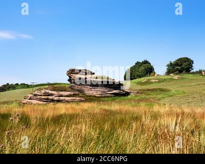 Formation de roches de Gritstone dans la vallée de Crimple près de Spofforth Harrogate North Yorkshire Angleterre Banque D'Images