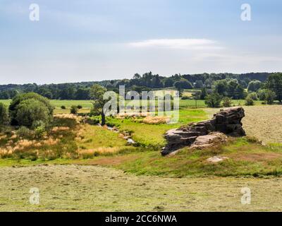 Formation de roches de Gritstone dans la vallée de Crimple près de Spofforth Harrogate North Yorkshire Angleterre Banque D'Images