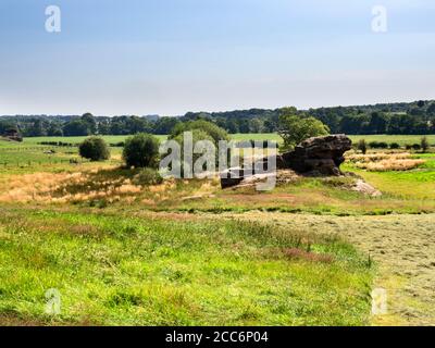 Formation de roches de Gritstone dans la vallée de Crimple près de Spofforth Harrogate North Yorkshire Angleterre Banque D'Images