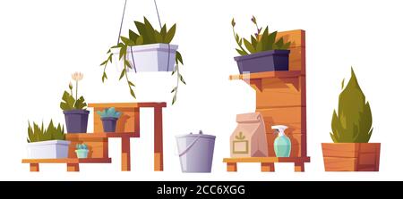 Plantes vertes en pots sur support en bois pour serre. Ensemble de dessins animés vectoriels de fleurs, de succulents et de plantes pour maison chaude, seau et bouteille de pulvérisateur. Équipement de serre isolé sur fond blanc Illustration de Vecteur