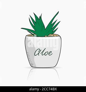 Aloe vera dessiné à la main dans un petit pot en céramique blanche. Magnifiques éléments à motif fleuri. Illustration vectorielle simpliste Illustration de Vecteur