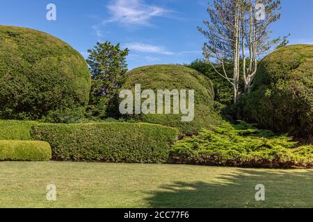 Paysage de l'est de Hampton avec diverses buissons et plantes taillées Banque D'Images