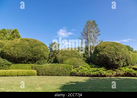 Paysage de l'est de Hampton avec diverses buissons et plantes taillées Banque D'Images