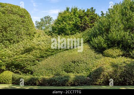 Paysage de l'est de Hampton avec diverses buissons et plantes taillées Banque D'Images