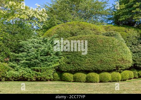 Paysage de l'est de Hampton avec diverses buissons et plantes taillées Banque D'Images