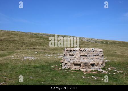 Treefold (est) sur Little Asby Common fait partie d'un projet d'art, Cumbria Treefolds, célébrant le 800e anniversaire de la Charte forestière originale. Banque D'Images