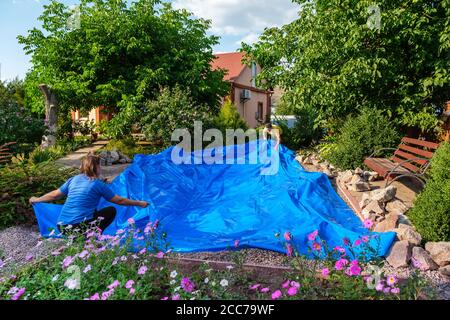 La famille pose une feuille de plastique HDPE bleue sur le sol pour installer un étang à poissons Banque D'Images