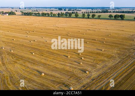 Vue aérienne des balles rondes de foin sur le chaume, temps de récolte Banque D'Images