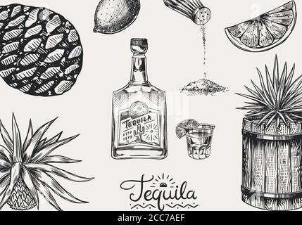 Arrière-plan Tequila. Bouteille en verre, grenée avec du citron vert, une usine d'agave bleu et un baril. Affiche ou bannière rétro. Dessin vintage gravé à la main. Coupe de bois Illustration de Vecteur