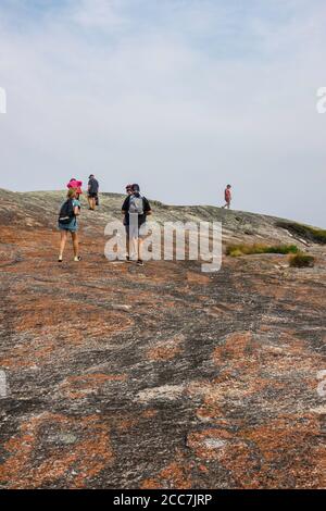 Randonneurs à Pantalon point, Flinders Island, Furneaux Group, Tasmanie Banque D'Images