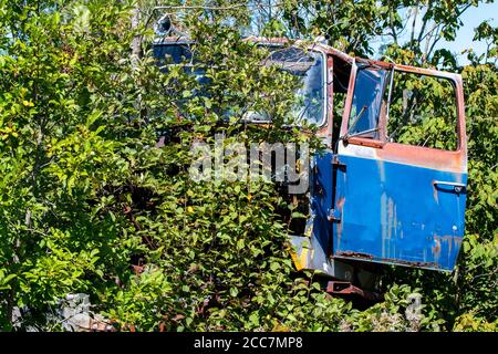 L'avant d'un ancien camion abandonné. Des arbres poussent de et autour du camion, mais une porte bleue est visible. Le chariot n'est pas identifiable. Banque D'Images