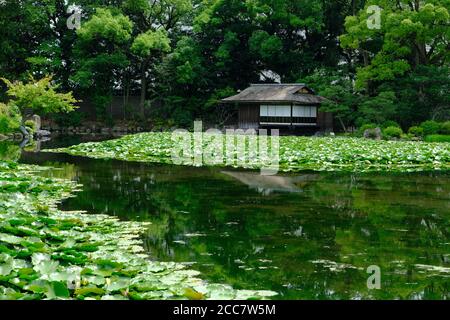 Kyoto Japon - jardin de Shosei-en bassin de Kikoku-tei avec nénuphars Banque D'Images