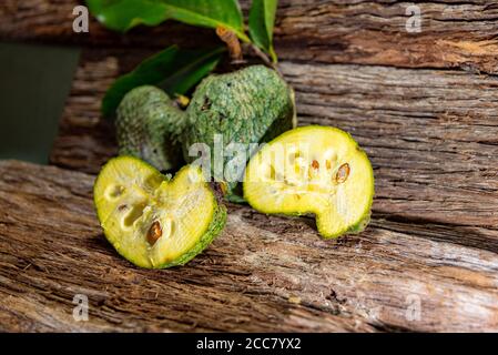 Atemoia (nom scientifique Annona cherimola Mill x Annona squamosa L.) est un fruit hybride, le résultat d'un croisement artificiel fait en Afrique du Sud et Banque D'Images