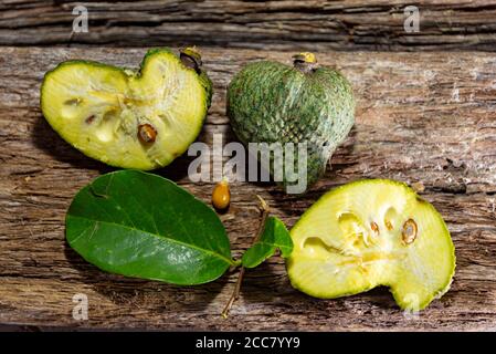 Atemoia (nom scientifique Annona cherimola Mill x Annona squamosa L.) est un fruit hybride, le résultat d'un croisement artificiel fait en Afrique du Sud et Banque D'Images