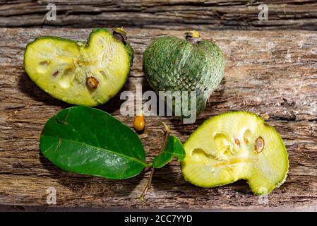 Atemoia (nom scientifique Annona cherimola Mill x Annona squamosa L.) est un fruit hybride, le résultat d'un croisement artificiel fait en Afrique du Sud et Banque D'Images