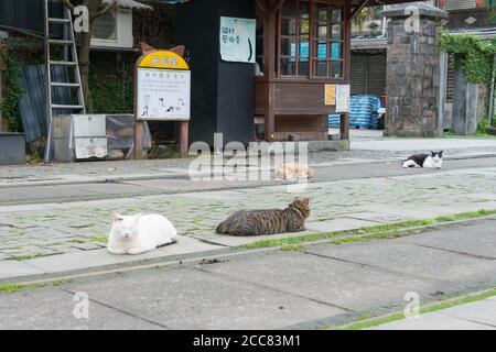 New Taipei City, Taiwan - Houtong Cat Village. Un célèbre site touristique à Ruifang, New Taipei City, Taïwan. Banque D'Images