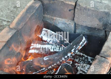 Combustion de bois de chauffage avec des flammes sur des bûches fissurées recouvertes de cendres blanches. Banque D'Images