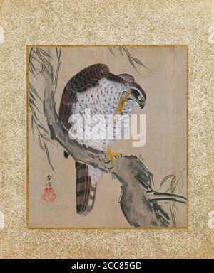 Japon: 'Album de Hawks et Calligraphie'. Album de neuf tableaux de Kano Tsunenobu (1636-1713), fin du XVIIe siècle. Kano Tsunenobu était un peintre japonais qui vivait pendant la période Edo. Il était un étudiant de l'école de peinture de Kano, et avait un intérêt particulier pour les styles d'art chinois, souvent la copie ou l'émulation de peintures chinoises avec très peu d'influence japonaise. Il est devenu un chef de deuxième génération de la branche Kobikicho de l'école Kano à Edo (Tokyo). Banque D'Images