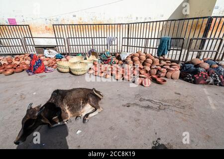 Orcha, Madhya Pradesh, Inde - Mars 2019 : une vache assise devant un magasin de bord de route vendant des pots d'argile et des ustensiles dans le village d'Orcha. Banque D'Images