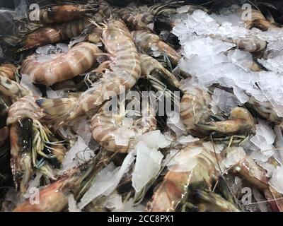 Crevettes tigrées réfrigérées au comptoir du marché. Banque D'Images