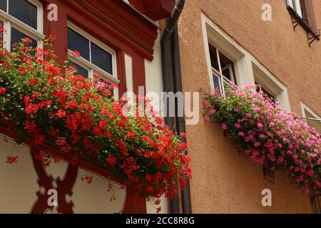 Géranium fleuri sur les fenêtres et les balcons Banque D'Images