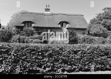 Cottage au toit de chaume sur l'île de Wight. Banque D'Images